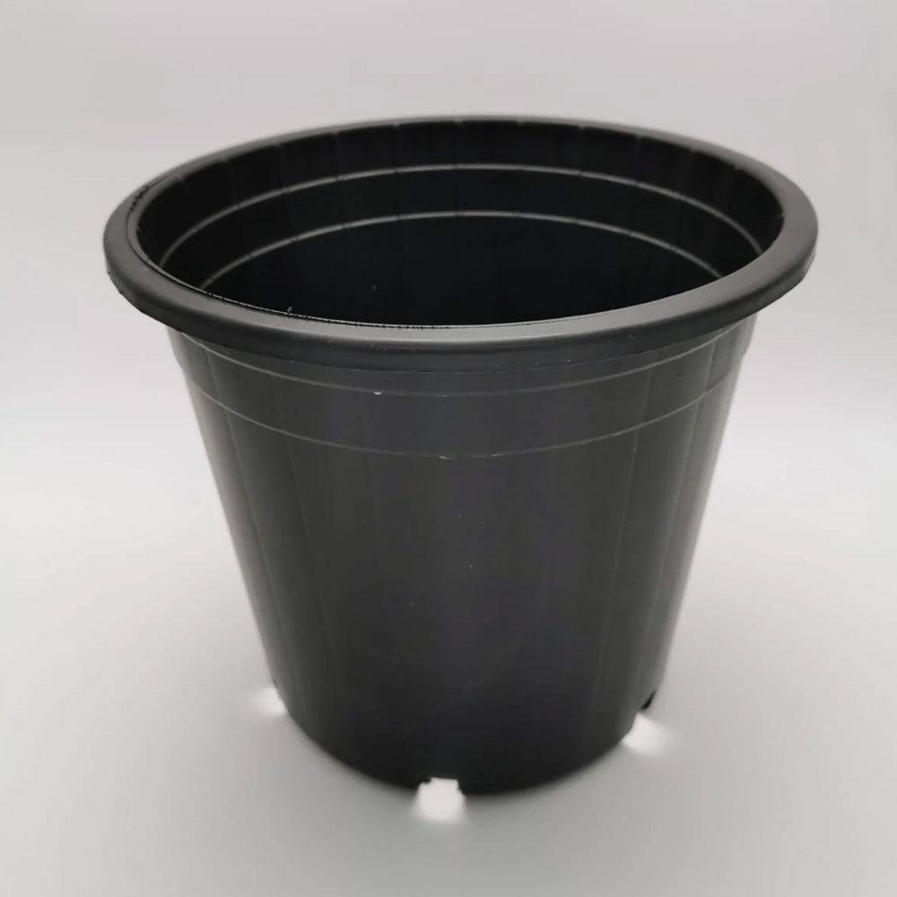 Meduim Black Pot